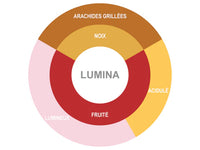 Chaleur B Chocolat - Couverture Chocolate Organic Lumina 70%