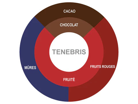 Chaleur B Chocolat - Kuvertüre Schokolade Tenebris 70%